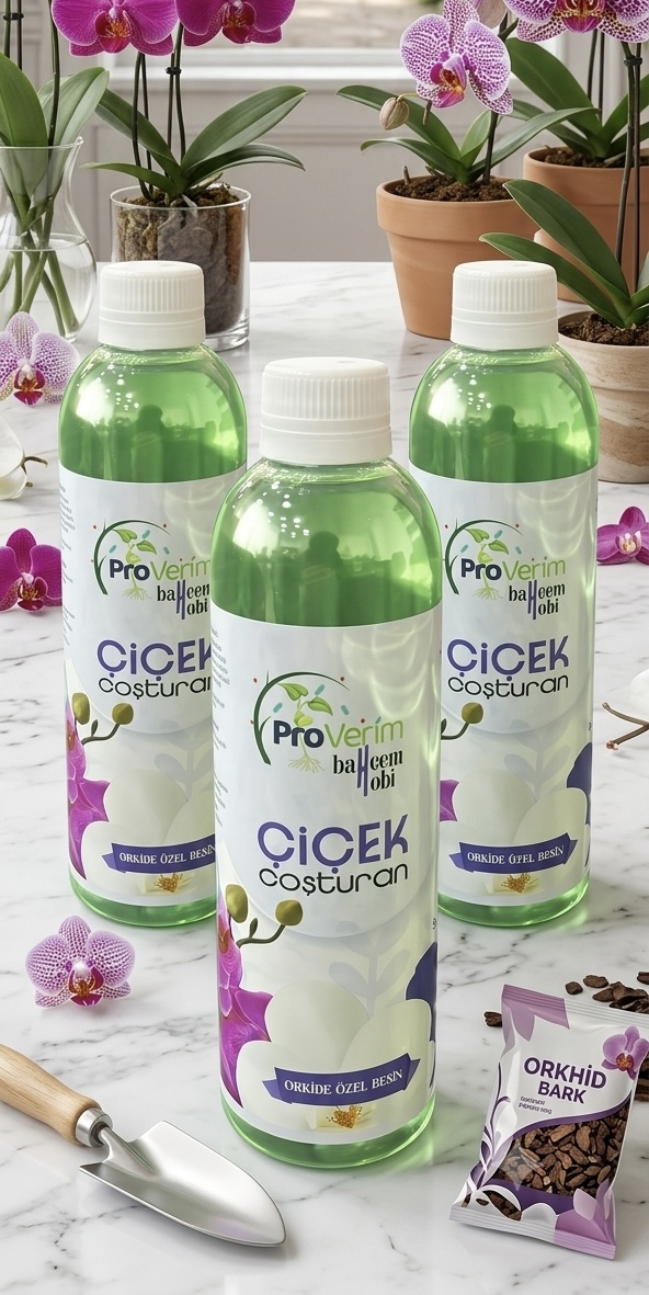 Orkide Özel Besin